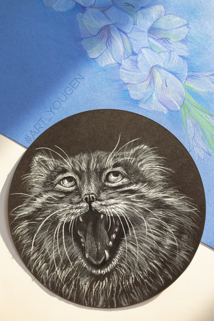 Almost Cheshire Cat - My, cat, Creation, Drawing, Animals, Pets, Mixed media, Pallas' cat, Animalistics