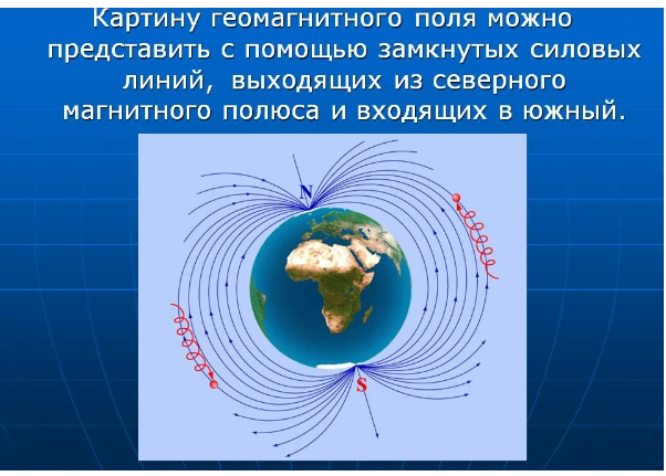 Соплебот для кита, съеденные землеройки и жидкие коты. Самые запомнившиеся шнобелевские премии за последние 10 лет - Шнобелевская премия, Наука, Видео, Длиннопост