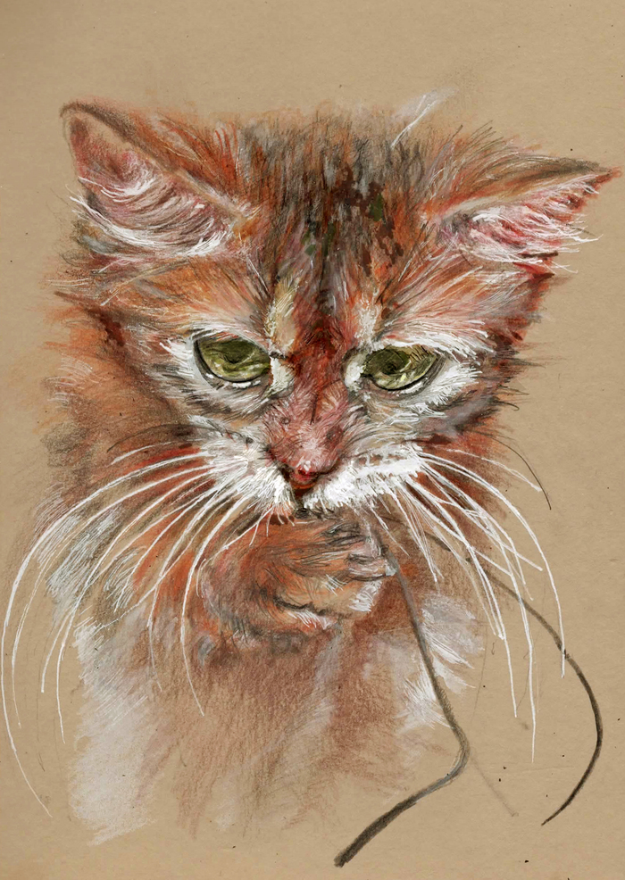 cat - My, cat, Colour pencils, Gel pen, Drawing