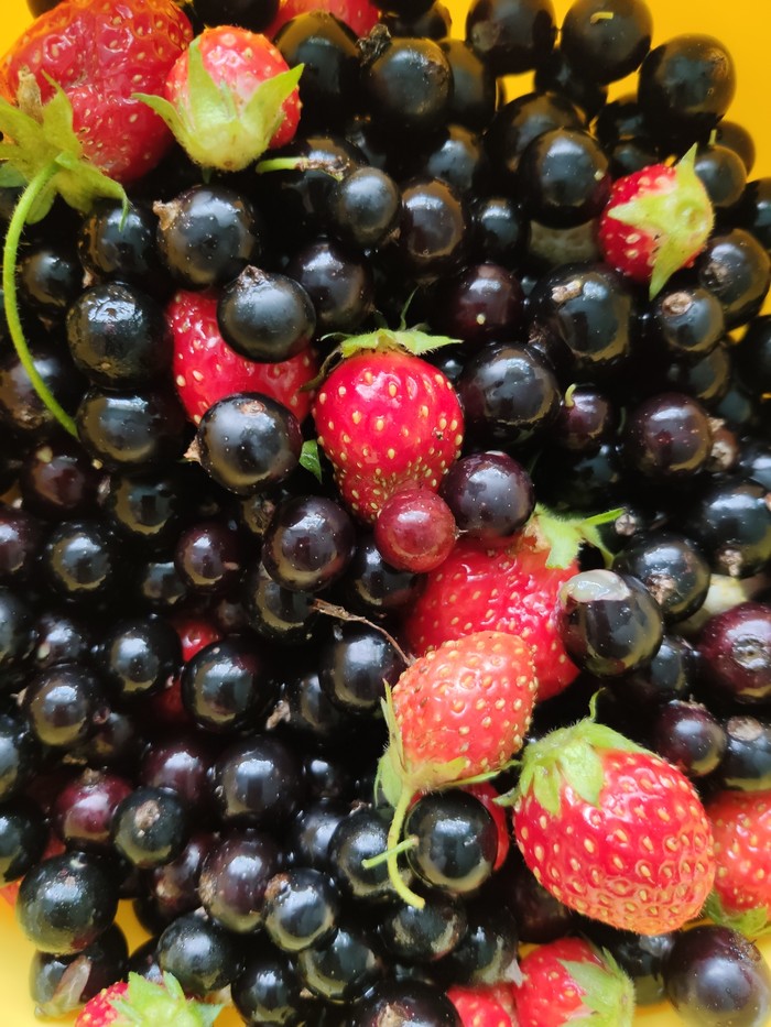 For the mood - My, Berries, Strawberry (plant), Strawberry, Summer