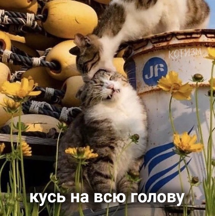 156880028418174467.jpg