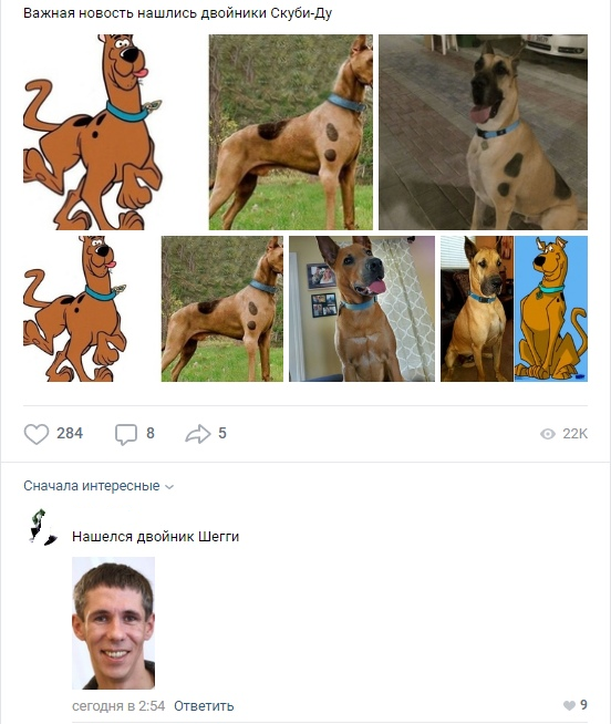 Double Shaggy - Scooby Doo, In contact with, Shaggy, Alexey Panin
