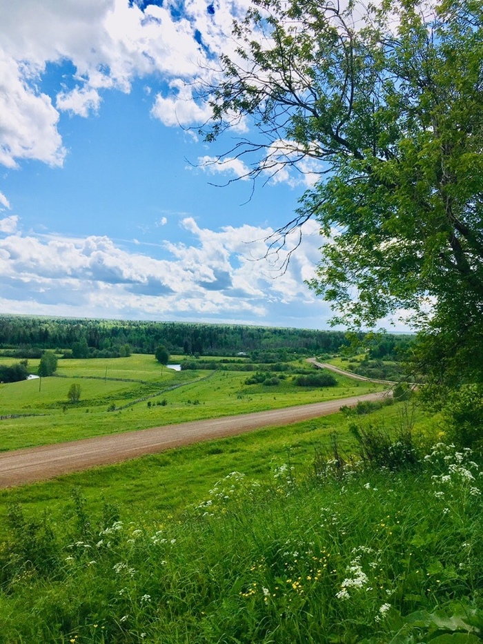 Фото села летом