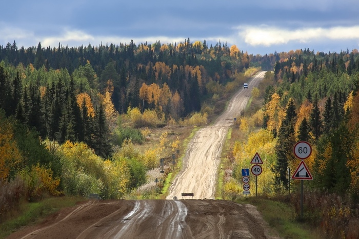 Autumn - Autumn, Komi, Forest, Sterkhi, Longpost