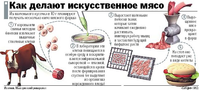 And the people are full and the sheep are safe - Meat, Synthesis, The science, Longpost