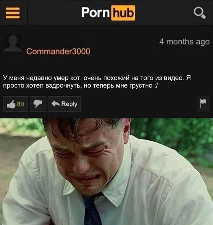 Sadness ... - Sadness, cat, Pornhub, Comments, Images, Picture with text