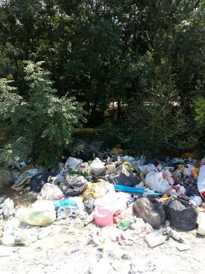 On our street, locals throw out garbage bags every day. - My, Russia, Garbage, Don't litter!, Longpost