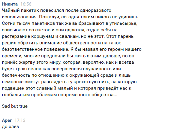 Осень, чай, современность - Моё, Все тлен, Современность, Чай, Грусть, Осень