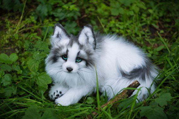 Gorgeous - marble fox, The photo, Milota, Soft toy, Fox