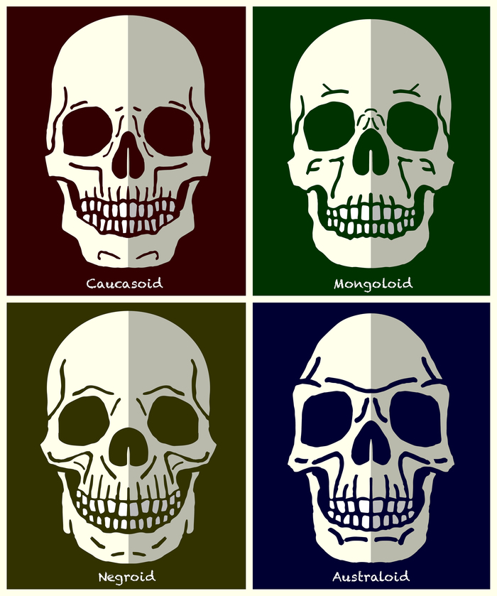 Drawing skulls of human races - My, Scull, Anthropology, Person, Races, Art