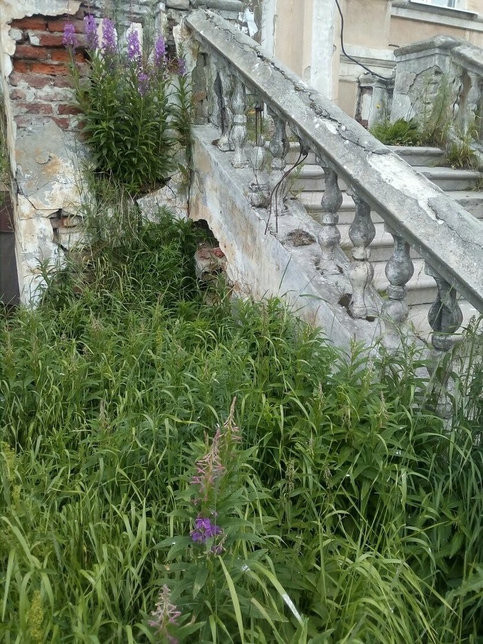 Каменные джунгли повержены | Пикабу