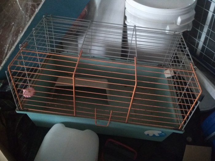Give away a pig cage - My, Cell, Guinea pig, Longpost, I will give, For free, Is free, No rating