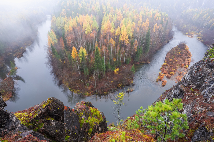 Taiga bend. - Sverdlovsk region, The photo, , Russian Geographical Society