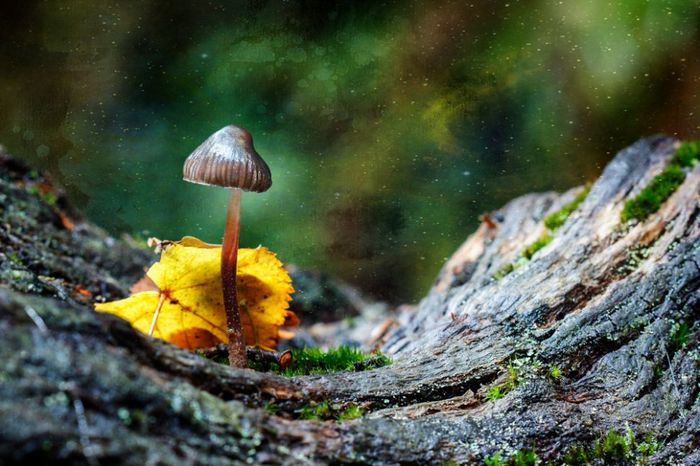 Гмо что это значит. Смотреть фото Гмо что это значит. Смотреть картинку Гмо что это значит. Картинка про Гмо что это значит. Фото Гмо что это значит