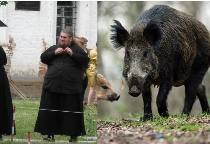 � �������� ������� ���������� ����������