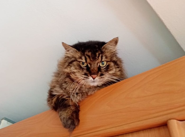 ��������� ���������?