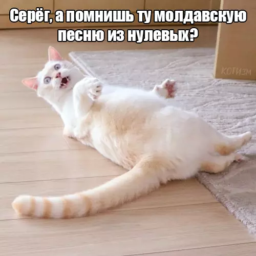 Ð£ Ð²ÑÐ�Ñ Ð�ÑÑÑ ÑÐ¾Ñ ÑÐ�Ð¼ÑÐ¹ Ð´ÑÑÐ³, ÐºÐ¾ÑÐ¾ÑÑÐ¹: ÐÐ¾Ñ, ÐÐ�ÑÑÐ¸Ð½ÐºÐ� Ñ ÑÐ�ÐºÑÑÐ¾Ð¼, ÐÐ¾ÑÐ¾Ð¼Ð�ÑÐ¸Ñ, ÐÑÐ¼Ð�Ð½ÑÐ¼Ð�Ð�, ÐÐ�Ð¸Ð½Ð½Ð¾Ð¿Ð¾ÑÑ, O-Zone, Dragostea din tei