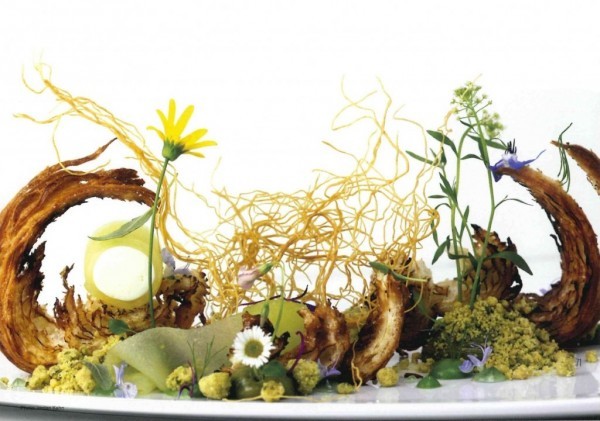 The most original and beautiful restaurant dishes - Michelin stars, Cooking, Gourmet Cooking, Longpost