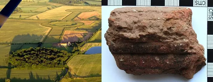 История анестезии: от белены до винишка Медицина, Наука, История, Scientaevulgaris, Длиннопост