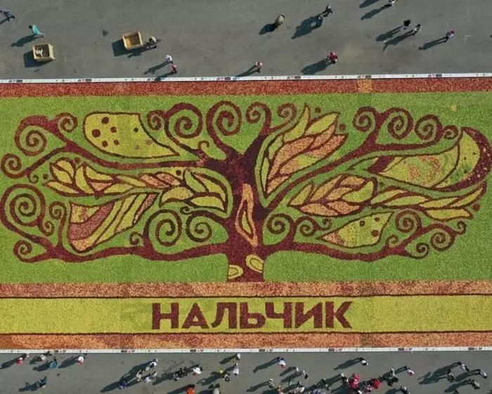 A giant panel of apples was laid out at a gastronomic festival in Nalchik - Nalchik, Kabardino-Balkaria, Caucasus, Panel, Apples, Video, The photo, news