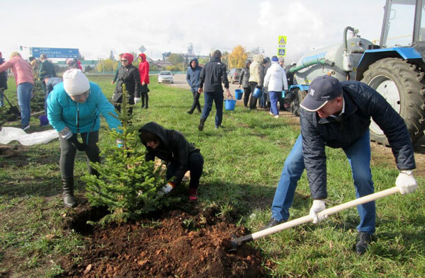 Over 1.5 million trees planted in Tatarstan - Ecology, Russia, Tatarstan, Forest belt, Forest, Longpost