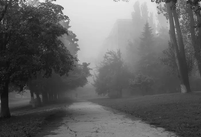Туман - Моё, Фотография, Туман