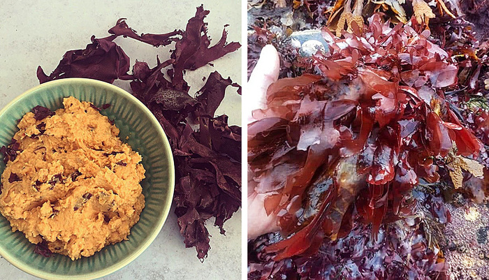 Необычные продукты о которых вы могли и не знать Продукты, Необычная еда, Познавательно, Экзотическая еда, Длиннопост Необычные продукты о которых вы могли и не знать Продукты, Необычная еда, Познавательно, Экзотическая еда, Длиннопост