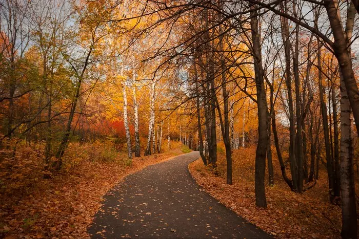 This is autumn in Ulyanovsk - My, Ulyanovsk, Autumn, The photo, Nature, Photographer, Landscape