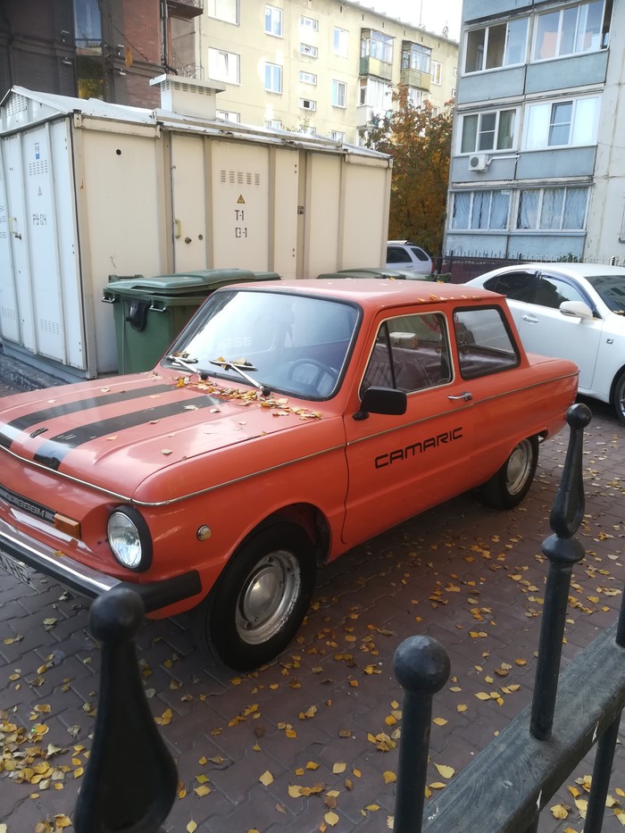 Camaric ������ ������ ����