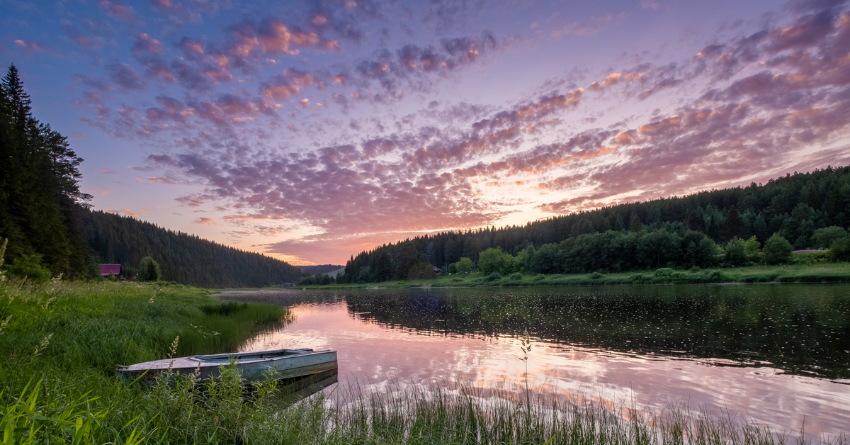 Пейзаж берег реки. Река Чусовая Пермский край лето природа. Река Чусовая Пермь. Природа реки Чусовая. Природа реки Чусовой.