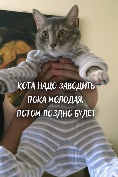 There are yazhkomateri, and there are yazhkotomeri - cat, Images, Longpost, The clock is ticking