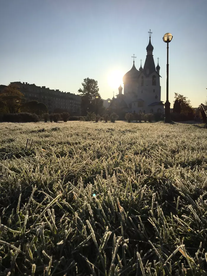 Frosty morning - My, Morning, freezing, Nature, Grass, Macro, Macro photography