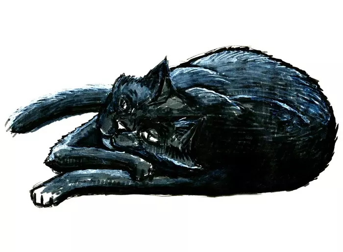 Just cats...or cats - My, cat, Graphics, Longpost, Drawing, Animals, Animalistics