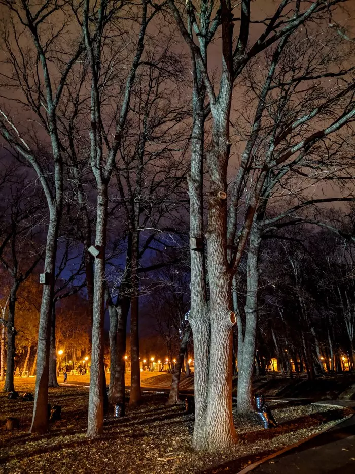 Evening in the park - My, Samara, Beginning photographer, The park, Longpost