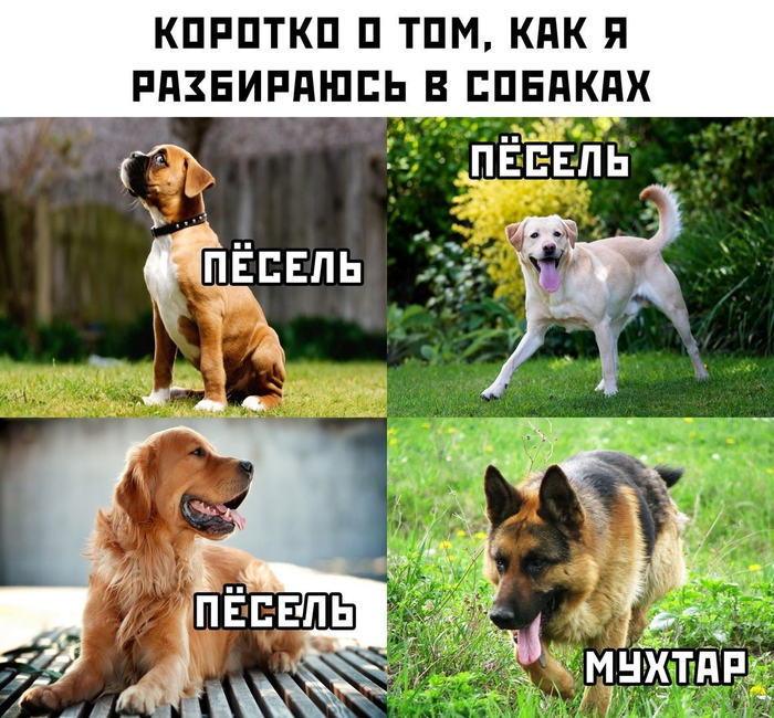 Что интересно ...