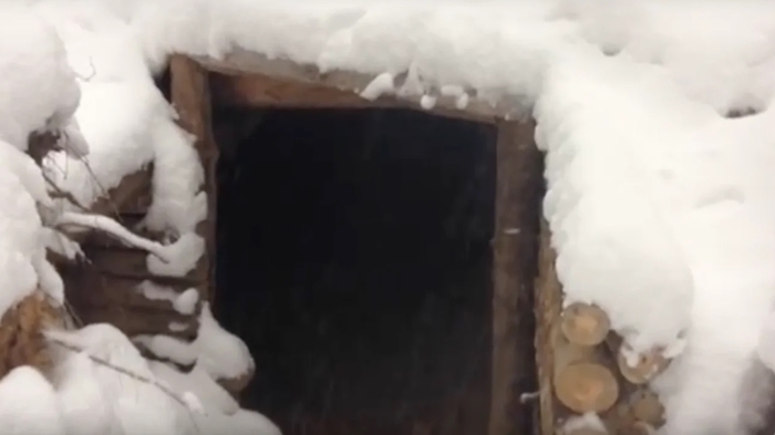 Нашел землянку, в зимнем лесу возле дачи, сделанную по всем правилам (видео). Землянка, Лес, Природа, Видео