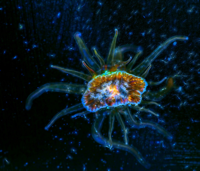 Ночной полет