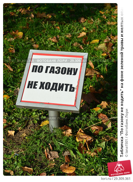 Plates for dogs - My, Longpost, Dog, Humor, Walking, Lawn, Табличка, Don't walk on lawns