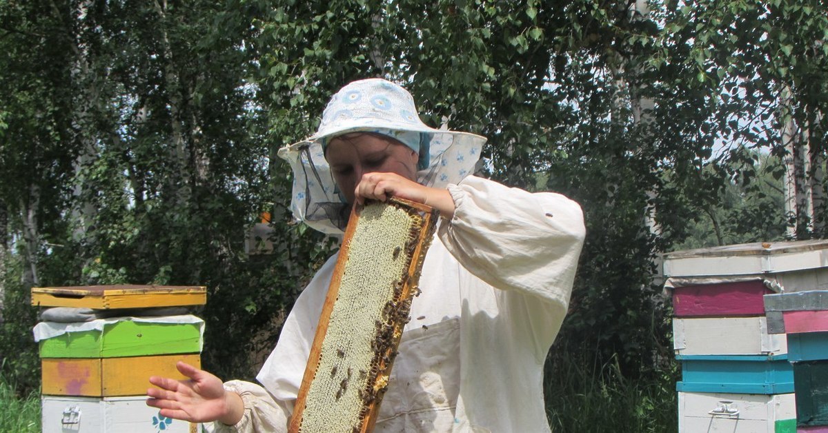 Включи пчеловод. Пасека Эллерт. Пасека Маныловых. Лонин Пчеловодство. Пасека Араптанова.