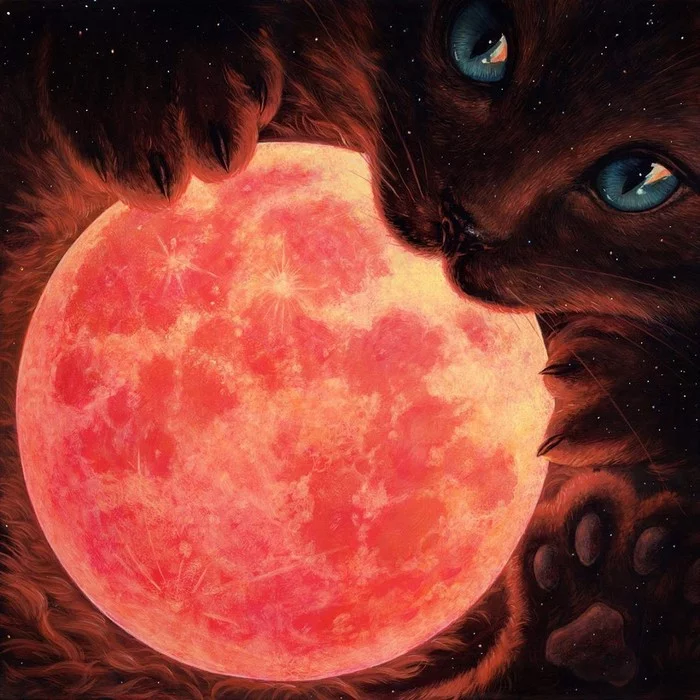 Casey Weldon and her cats - Art, Drawing, A selection, cat, Casey Weldon, Longpost