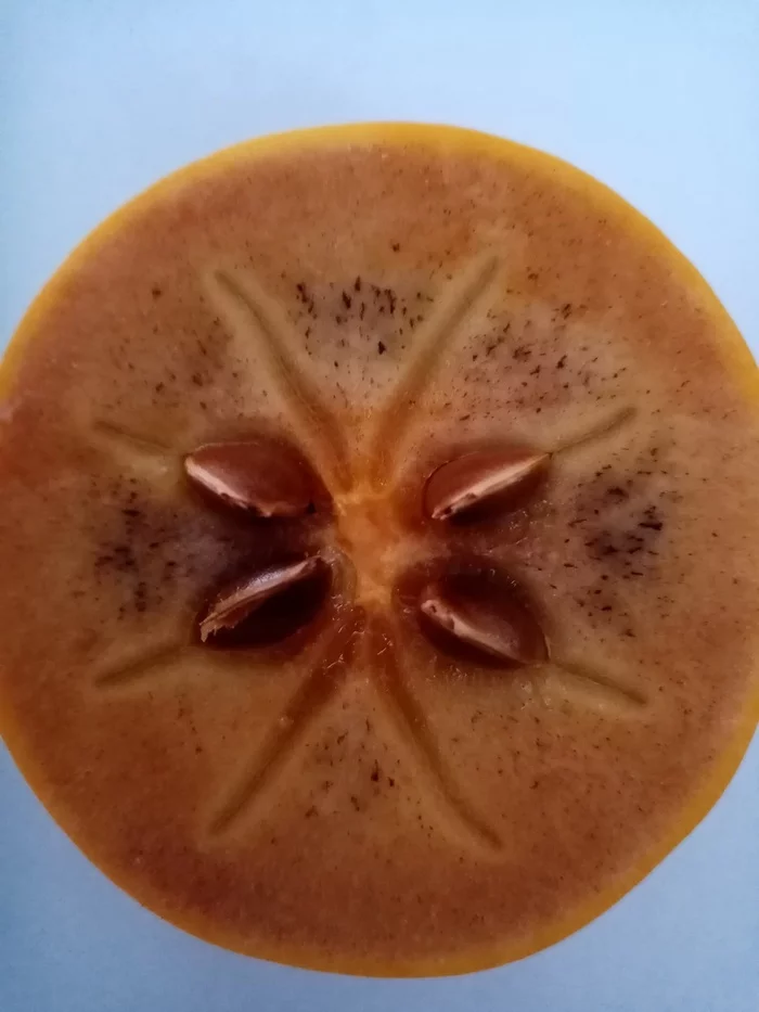 Fruit beauty. - My, Symmetry, Фрукты, Persimmon, Longpost