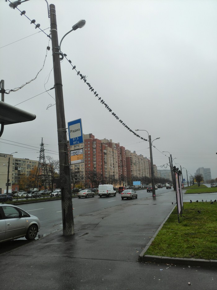 Когда у тебя неограниченный запас в игре Angry Birds