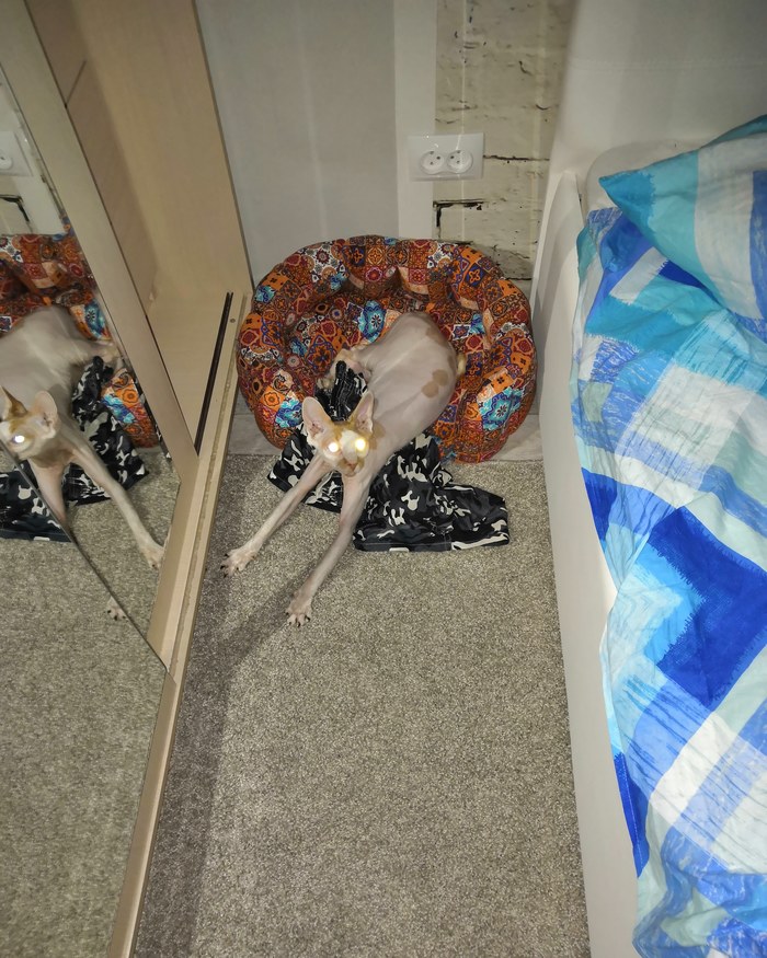 Your shorts are mine