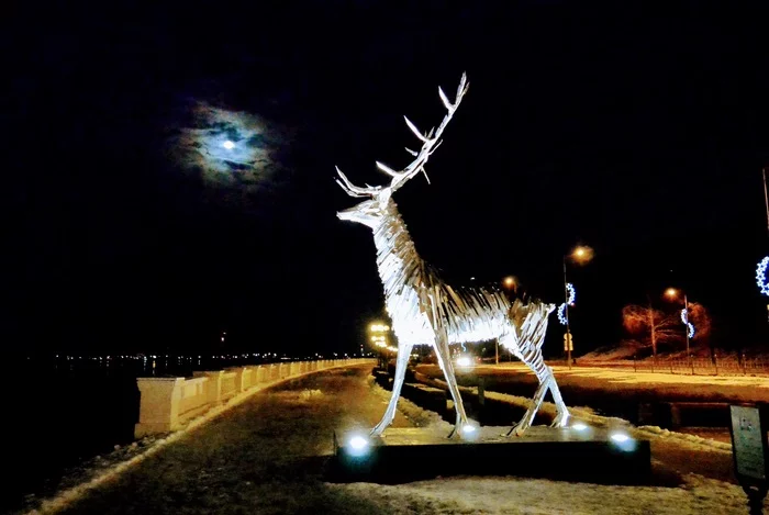 Silver Hoof from a horror movie. - My, Deer, Nizhny Novgorod, Horror, Deer