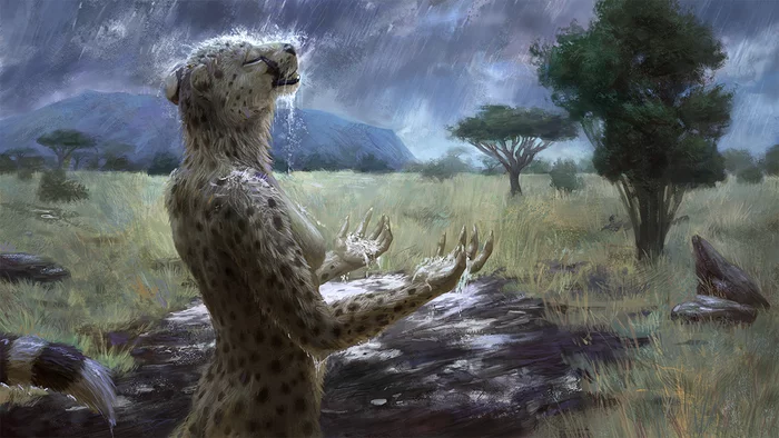 Bless - Furry, Furry art, Furry feline, Furry cheetah, Furry edge, Savannah, Rain, Spectrumshift