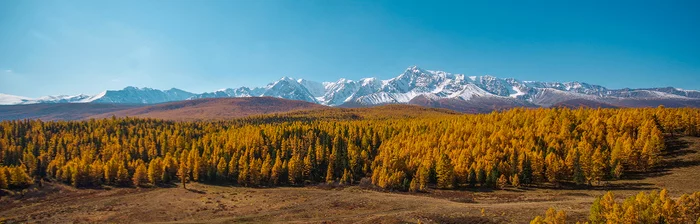20 frames from Altai - My, Altai Republic, Michael, Travels, Holidays in Russia, Leisure, The photo, Siberia, Longpost