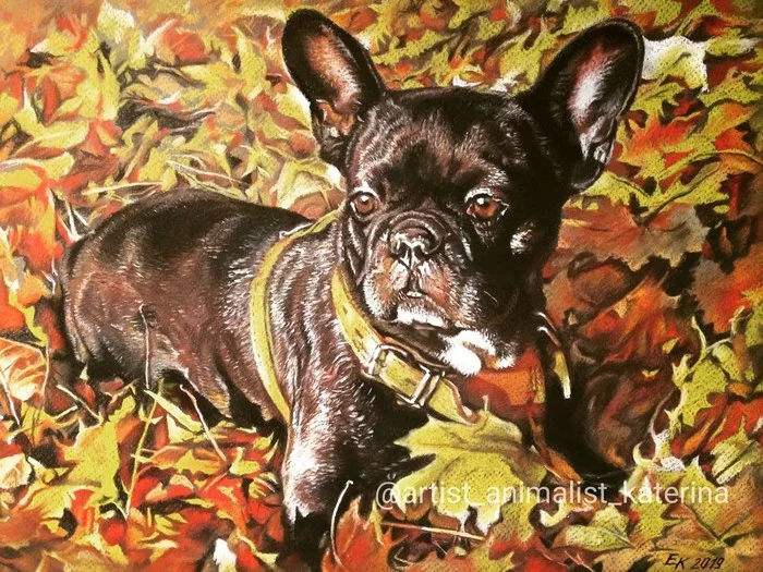 On a carpet of yellow leaves... Leona de Flamel. A3 format, dry pastel. - My, French Bulldog, Drawing, Portrait, Dry pastel, Pastel, Dog