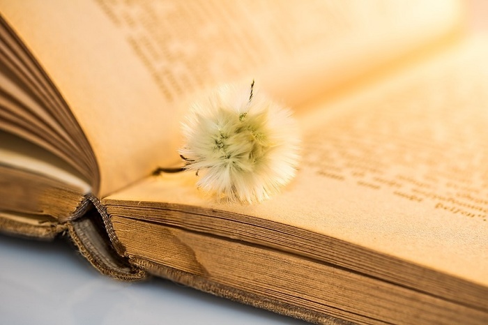 чем опасны старые книги. Смотреть фото чем опасны старые книги. Смотреть картинку чем опасны старые книги. Картинка про чем опасны старые книги. Фото чем опасны старые книги