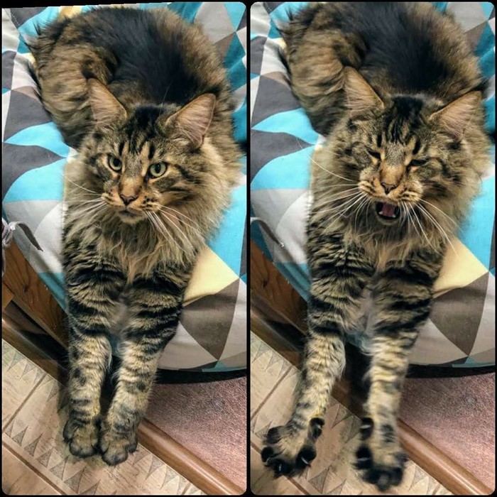 Сибирская осень