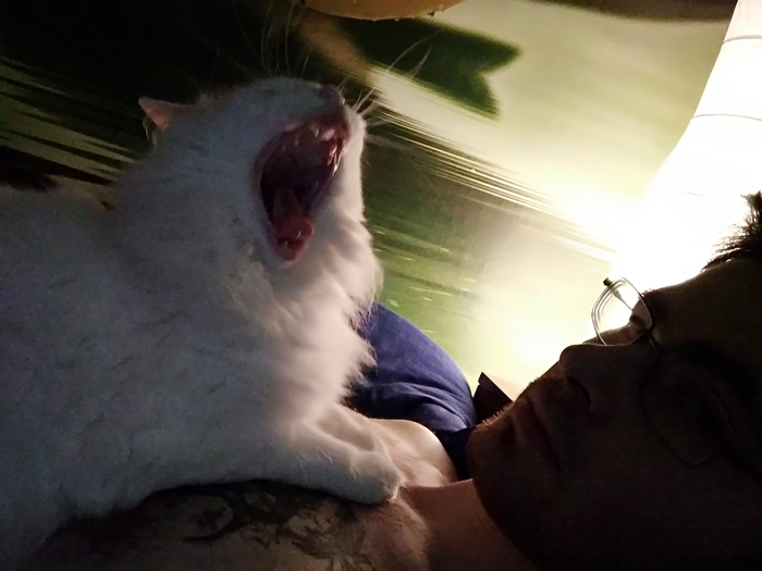 ������� ��� ����� ���������������� � �����...